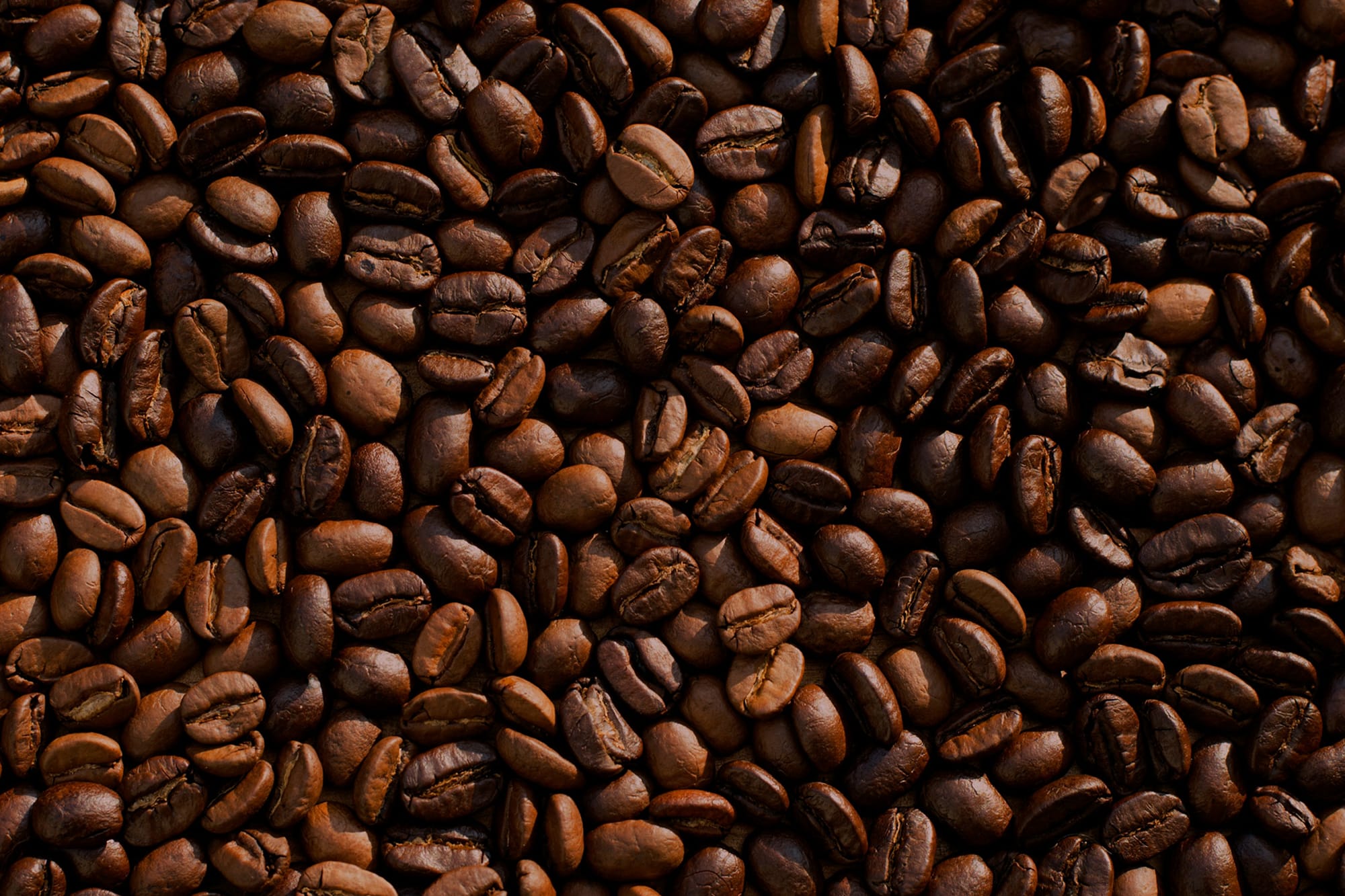 People Ghost theme For Coffee Blogs