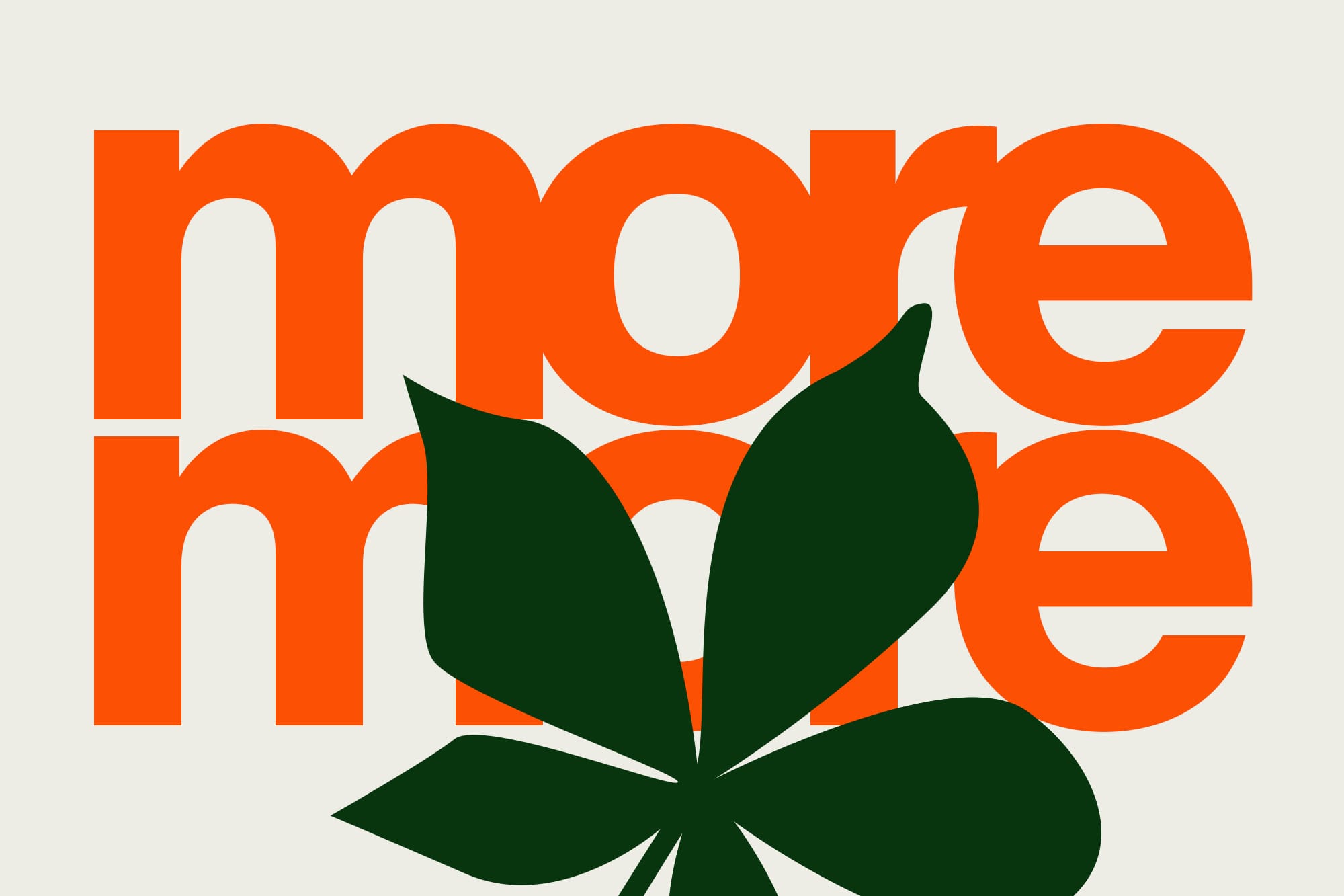 More, More, and More Snippet Features
