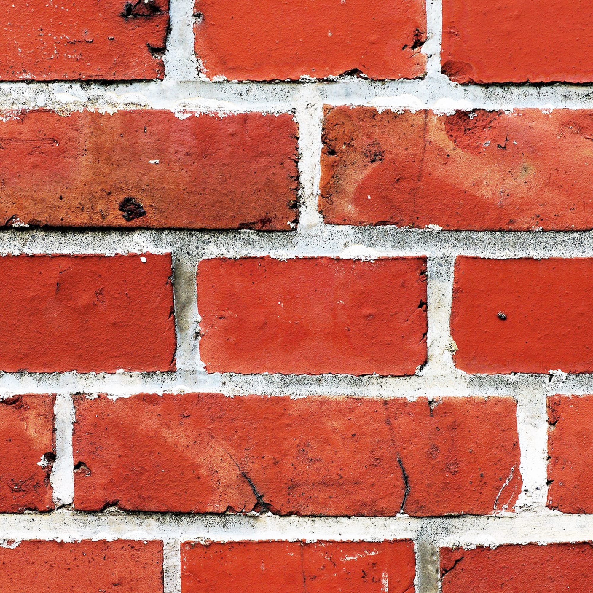 Bricks