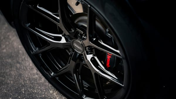 Black Viper