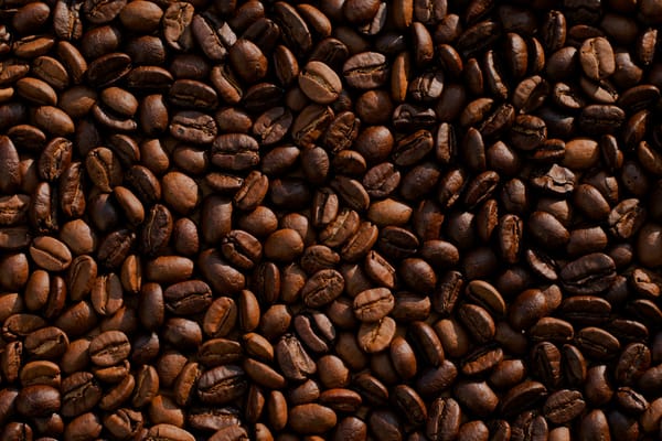 People Ghost theme For Coffee Blogs