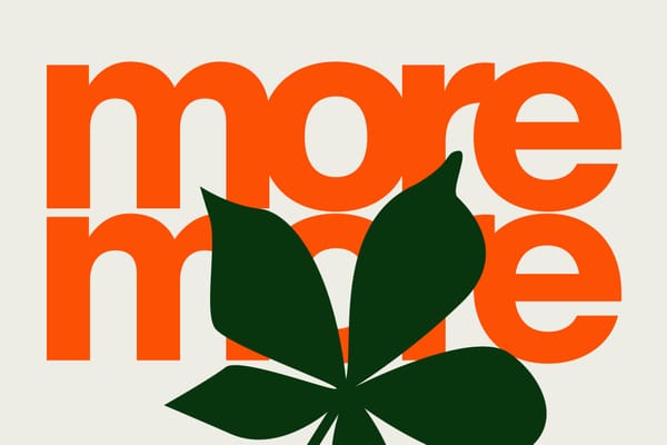More, More, and More Snippet Features